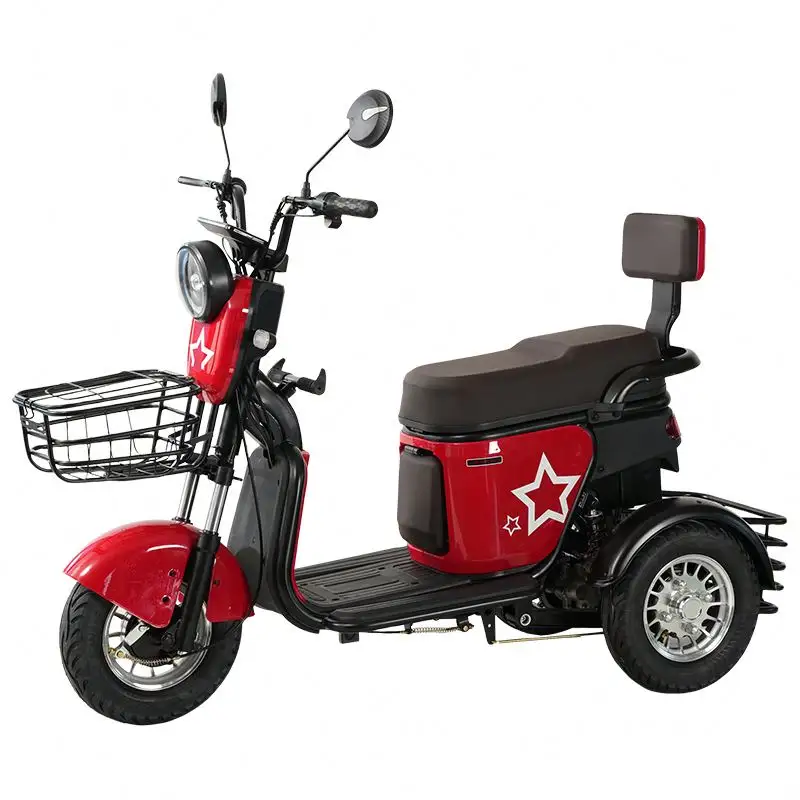 Yetişkinler e trike 600W 48V Adult 3 tekerlek kargo bisiklet yolcu motosiklet yetişkin elektrikli üç teker bisikletler