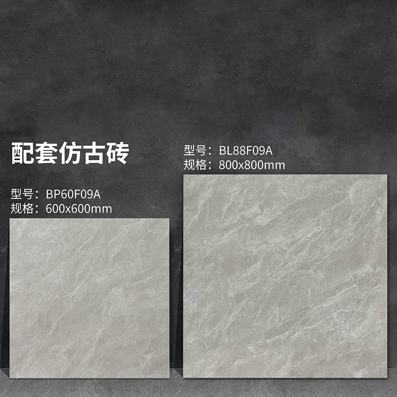 Bp60f09a/bl88f09a-600x600mm