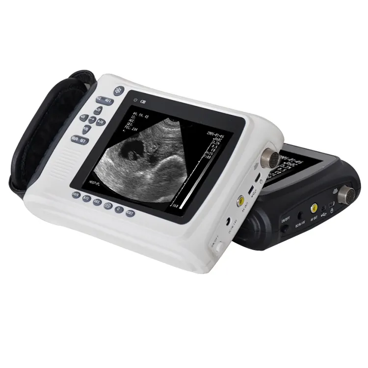 Factory Price Ultrasound For Animal Ultrasound Physiotherapy Machine