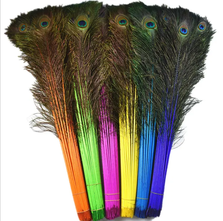 Esportatore di qualità eccellente fatto a buon mercato colore tinto India coda di piume di pavone per la vendita