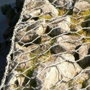 <strong>hexagonal</strong> <strong>wire</strong> mesh <strong>netting</strong> <strong>machine</strong> for chicken raise mesh in China factory