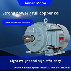 Wannan Elektrische Tycp-Serie Driefasige Variabele Frequentie Aandrijving Permanente Magneet Synchrone Motor | 750 Tpm | Directe Aandrijving - Product Image 2