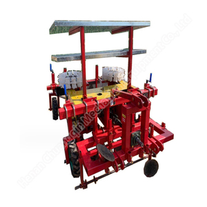 ปลูกต้นกล้ากระถางปลูกต้นหอม8แถว - Product Image 3