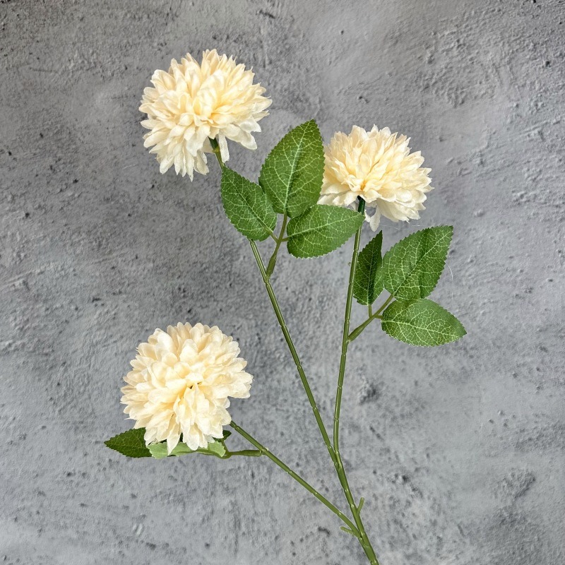 แชมเปญ