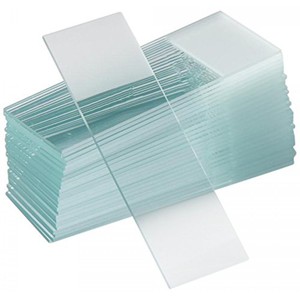 <strong>Slide</strong> Glass <strong>Microscope</strong> <strong>Microscope</strong> <strong>Slide</strong> Racks Specimens <strong>Microscope</strong> Prepared <strong>Slides</strong>
