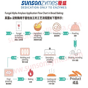 Nấm Alpha amylase cấp thực phẩm Nấm Diastase bột không biến đổi gen cho bánh mì nướng, chế biến thực phẩm, vv. - Product Image 6