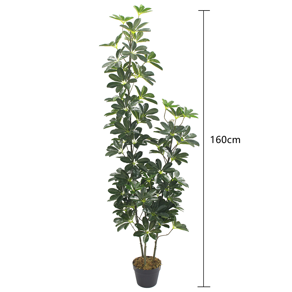 160cm