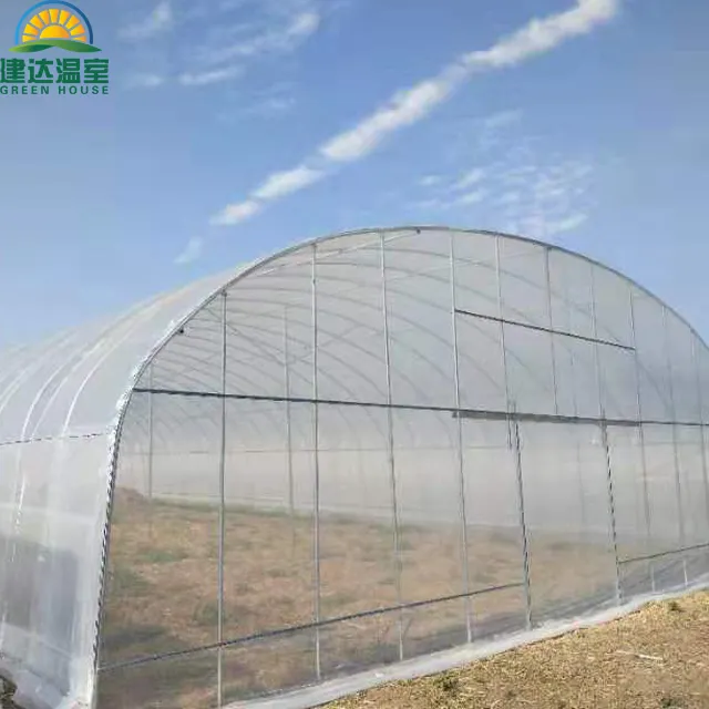 Çin'de tarım için tünel yeşil ev ticari tünel yeşil evler SUNSGH sera çin