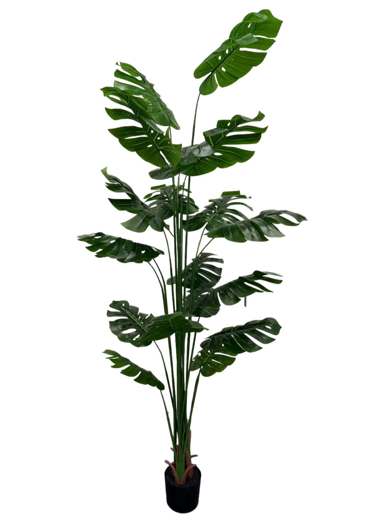 Gree 7.22ft/220cm