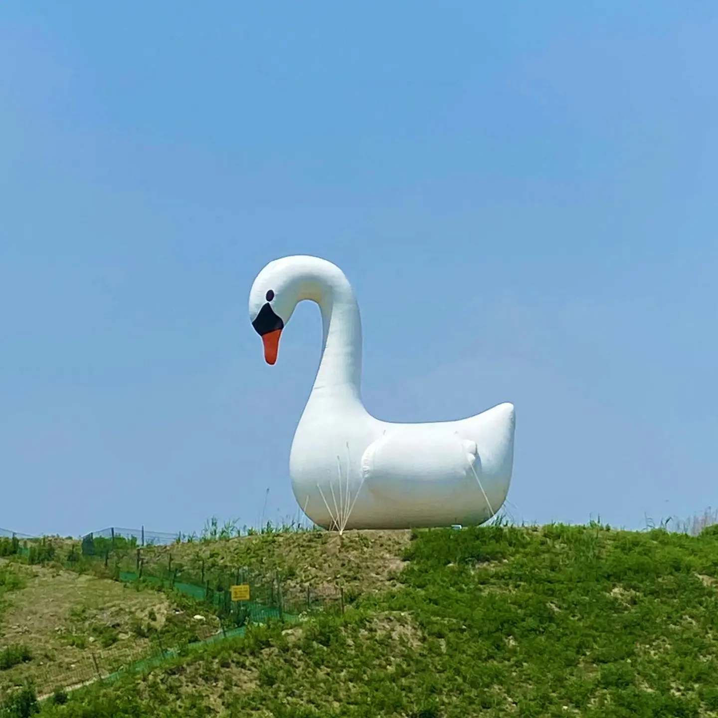 Modello pubblicitario gonfiabile modello cigno bianco oca gigante