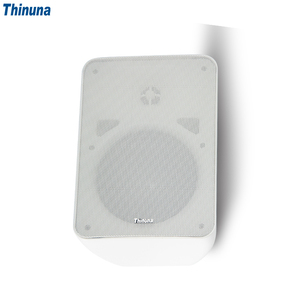 IP-40WSBT Thinuna III IP PA sistema di trasmissione 40W attivo POE di rete di Backup con microfono 2.4G resistente alle intemperie altoparlante a parete - Product Image 1