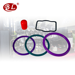 ערכת תיקון 6405003-c18 o-טבעת גומי nbr/<span class=keywords><strong>epdm</strong></span>