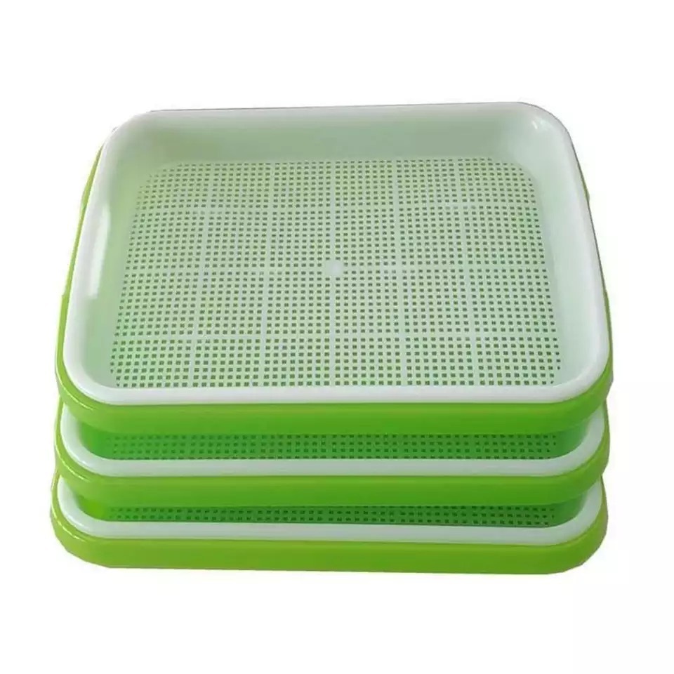 SD7216 verde e bianco