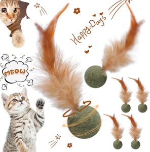 Bolas de juguete de menta comprimida de hierba gatera 100% natural para satisfacer la necesidad del gato de bola de estimulación Catnip - Product Image 1