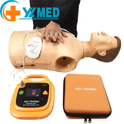 Desfibrilador externo automático de AED para ciencias médicas, máquina de enseñanza de reanimación pulmonar semifísica, entrenador de AED, tren de CPR