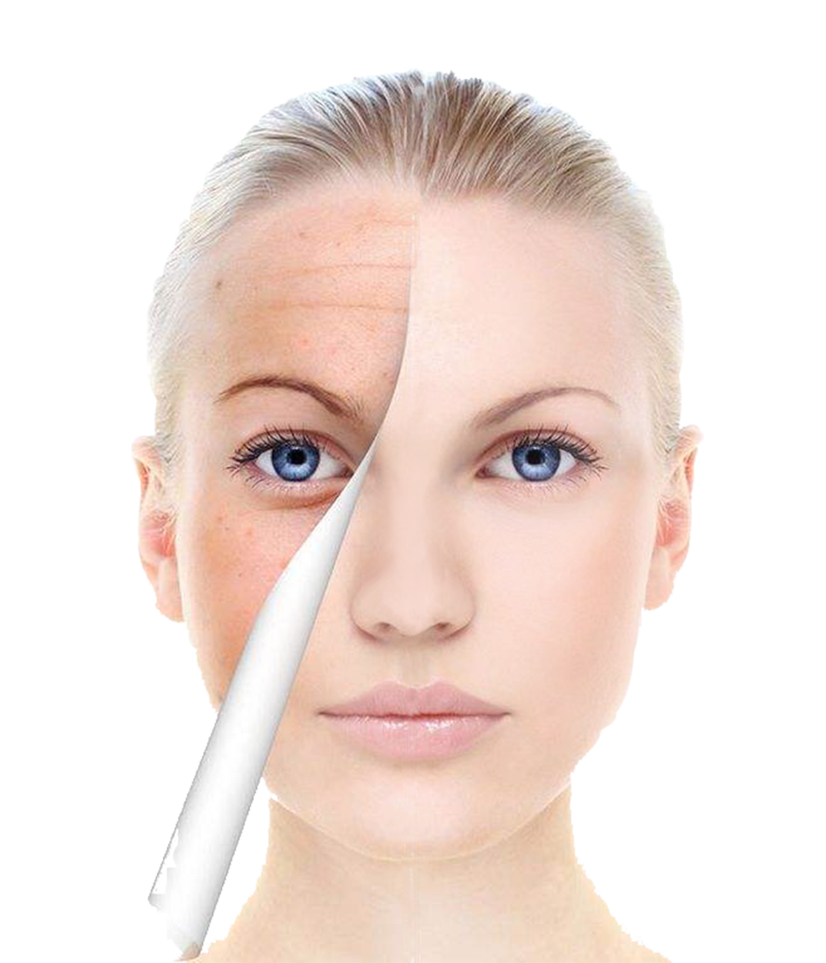 20% Cycloastragenol प्योर प्लांट एक्सट्रैक्ट्स Astragalus Root Extract 3