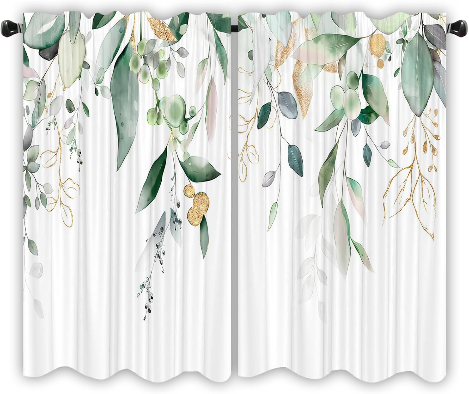 Sauge Vert Or Eucalyptus Botanique