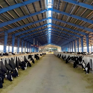 Arctic-Grade Steel Cattle Barn 30x15m -40&deg;C <strong>Rating</strong>, Triple Insulation, Heated Floor <strong>System</strong> - Product Image 3
