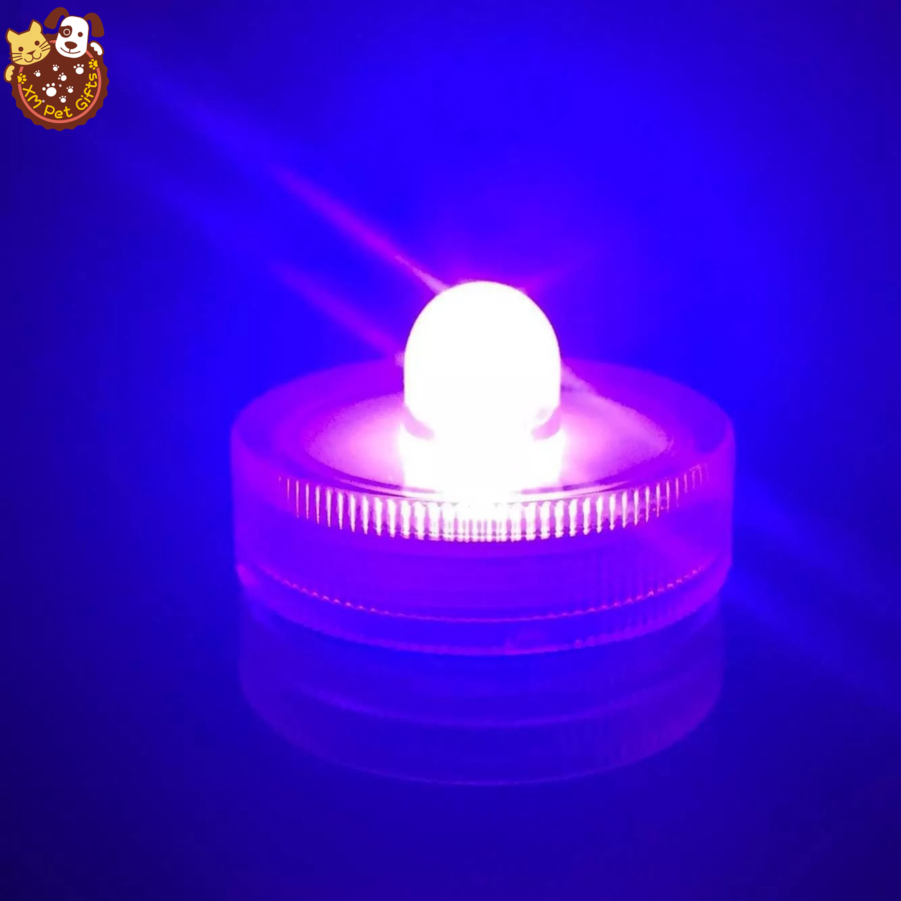 Lumière pourpre