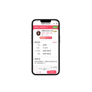 Anpassbares Online-Chat-System für die Entwicklung von Desktop-Anwendungen für Heiraten und soziale Dating