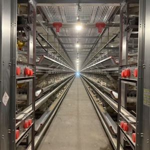 כלוב עוף פלדה אוטומטי h brooder עבור תינוק שכבה של תרנגול חדש עבור משק בית משק רשת יום ישן סוללה סוללה סוללה