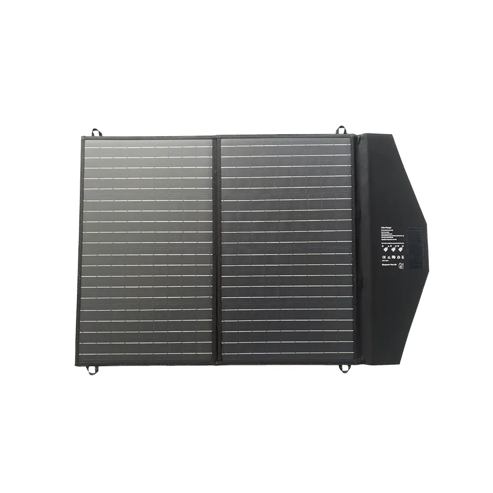 100 Вт портативное домашнее мини-зарядное устройство с солнечной панелью для ноутбука odm и oem