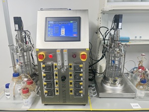 Hefe fermentation geräte Glaswaren misch geräte Labor fermenter 5L