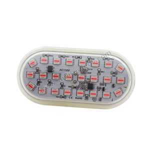 Önceden programlanmış 100mm 24leds elips oyun alanı RGB LED piksel noktası işık eğlence parkı tema parkı için AC110V karnaval lamba - Product Image 3