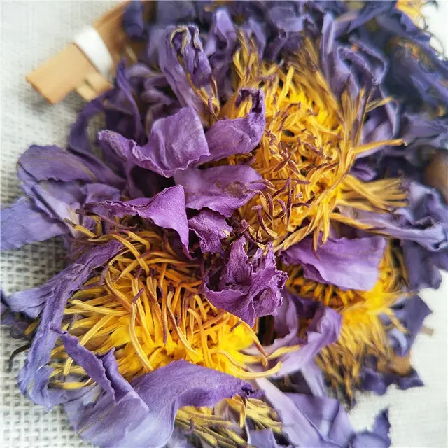 Grosir Bunga Lotus Biru herbal organik alami bunga teratai biru kering jumlah besar