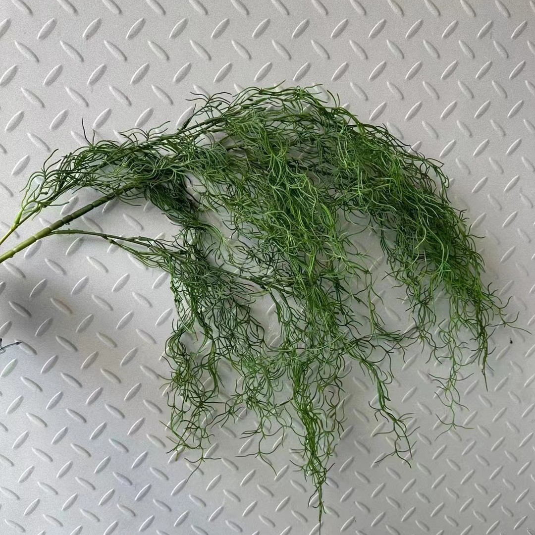 Green air plant
