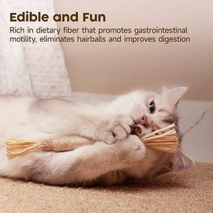 Palos para masticar hierba gatera de vid de plata natural, pelotas de juguete para mascotas de estilo de dibujos animados hechas de nailon duradero, mordedores limpiadores de dientes - Product Image 3