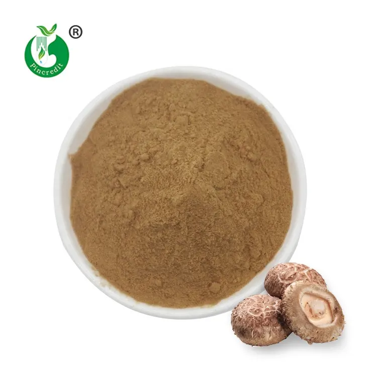 Pincre- Extracto de seta de Shiitake orgánico Natural, el mejor precio