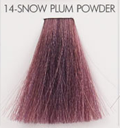 14-Polvo de ciruela nieve