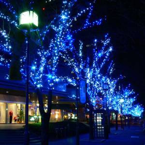 <strong>Multi</strong> <strong>Colors</strong> Solar <strong>String</strong> <strong>Lights</strong> 100 LEDs 8 Modes Solar Powered Waterproof Garlands <strong>String</strong> <strong>Lights</strong> for Garden Patio - Product Image 6