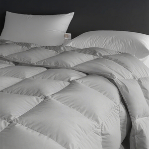 Ruột chăn lông vũ mùa đông, vỏ bông, siêu dày, có 8 móc góc, trọng lượng nặng, chăn lông ngỗng dày dặn - Product Image 2