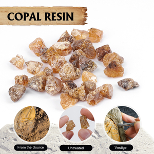 Paleobiyoloji araştırma için otantik Copal reçine kristal Subfossil Feng Shui tarzı laboratuar malzemeleri - Product Image 2