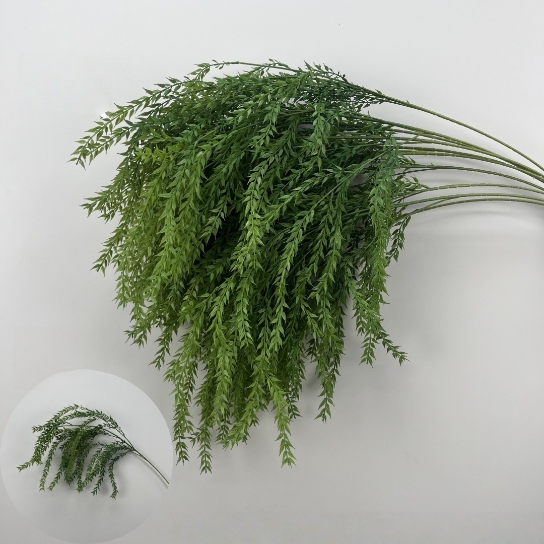 Fengyang Grass