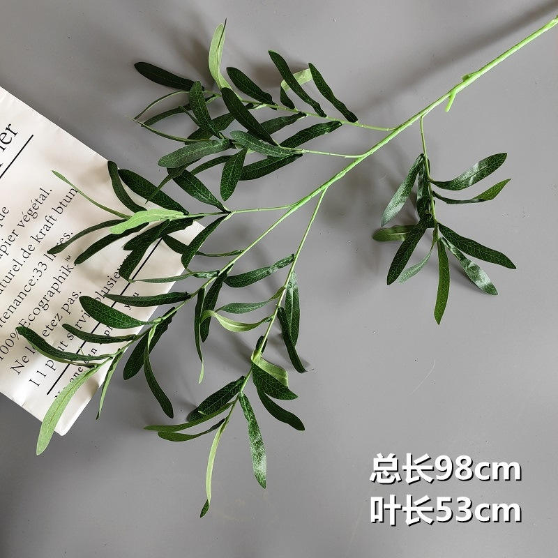 ใบมะกอกหกแฉก