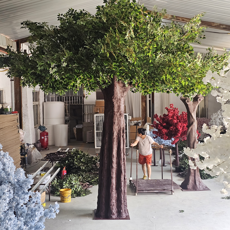 planter un grand arbre