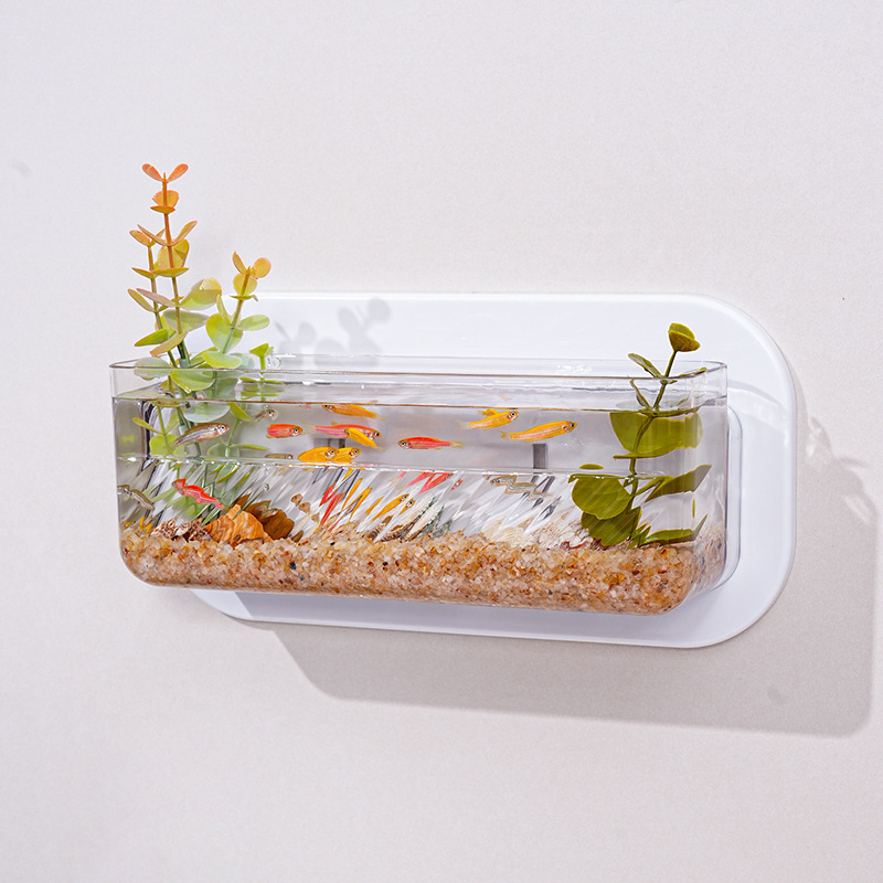 Transparent Large (24*8*9cm)
