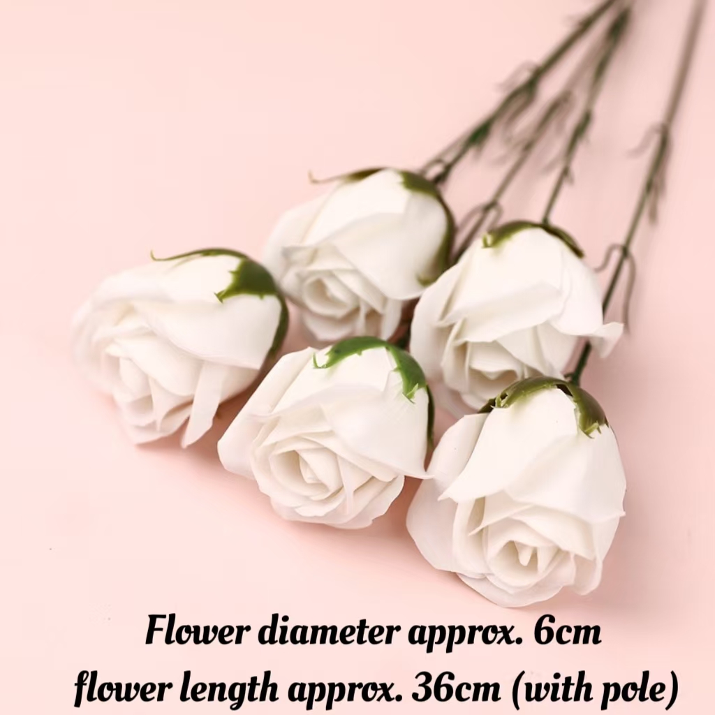 Pastèque rouge roses blanches pures 5pcs