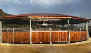 Marcheur de cheval de moteur importé européen de haute qualité - Product Image 3