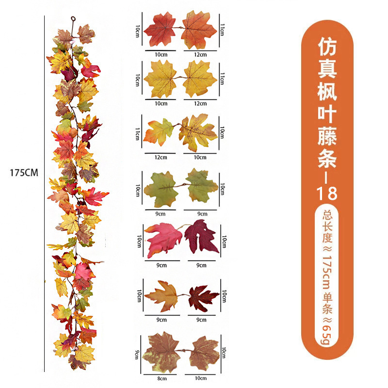 Vignes d'érable - 18