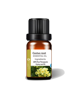 Traditional Chinese Herb Radix Aucklandia Extract Costus Root Essential <strong>Oil</strong> Pure Costus <strong>Oil</strong> - Product Image 5