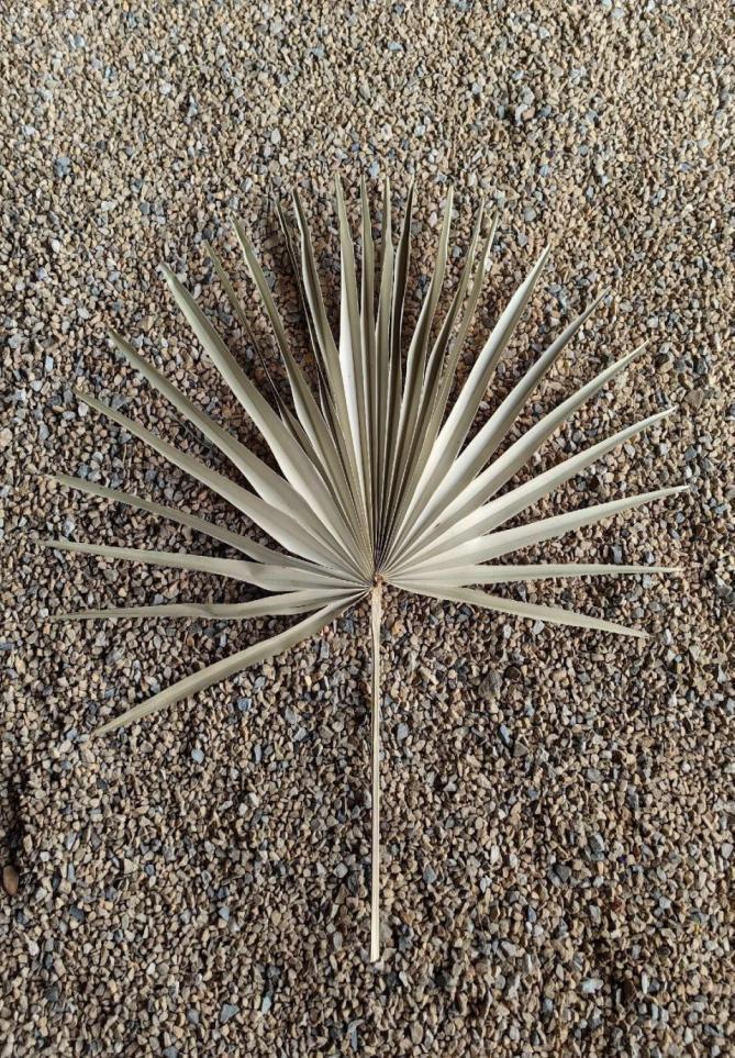 Forme originale