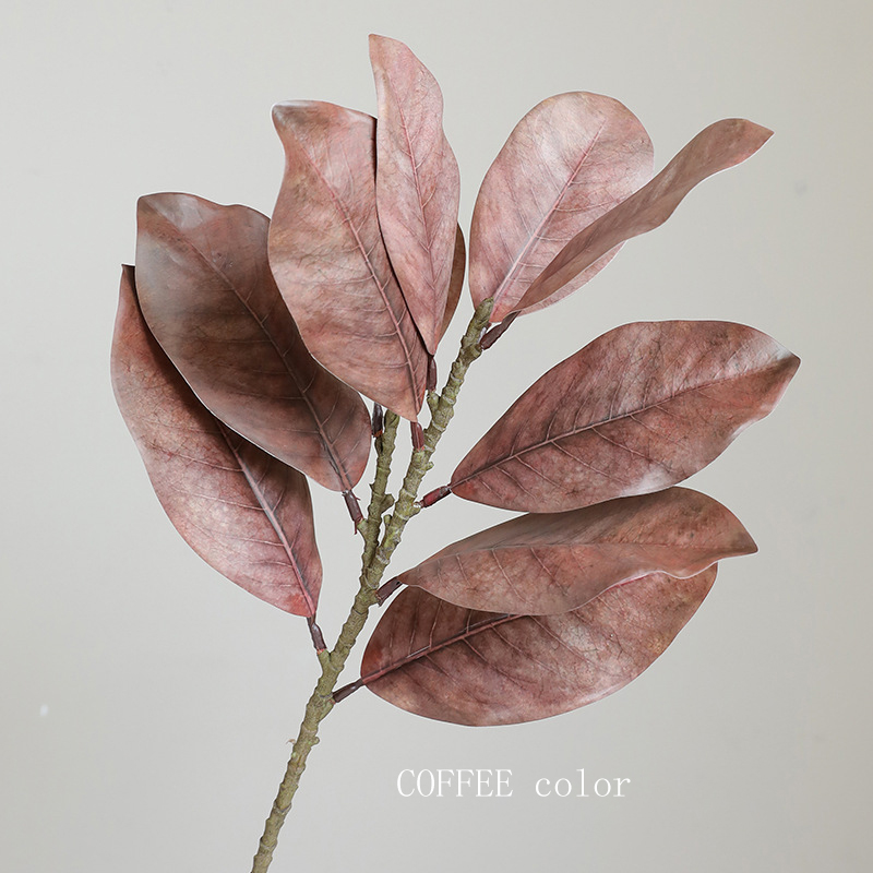 Caffè
