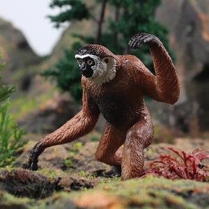 Yxs mô phỏng đồ chơi trẻ em tĩnh rắn đầu trắng Mỹ vượn cáo hoang dã mô hình động vật nhỏ khỉ vàng khỉ Vua giảng dạy - Product Image 2