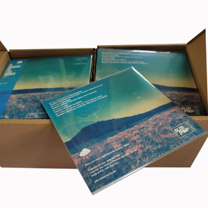 ジャケットの安い音楽レコードビニールカスタムビニールレコードは空白のビニールレコードをカバーします - Product Image 5