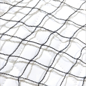 Kunden spezifisches landwirtschaft liches PE-Anti-Vogel-Netz für Gemüse Obsts chutz Farm <span class=keywords><strong>Bird</strong></span> Proof <span class=keywords><strong>Net</strong></span> Farming - Product Image 1