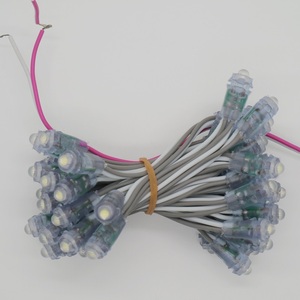 LEDポイントライトdc 12v 9ミリメートルBullet Pink Orangeウォームホワイト0.15W 50 PCS/String IP65 Advertisingボードポイントledモジュール - Product Image 4
